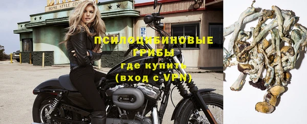 mdpv Медвежьегорск