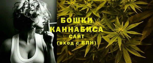 mdpv Медвежьегорск
