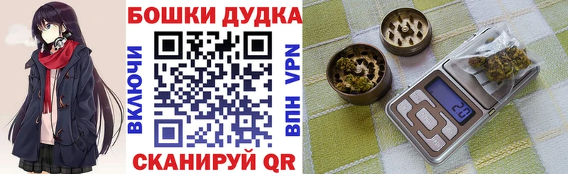 Купить закладки  Шали  Конопля план 